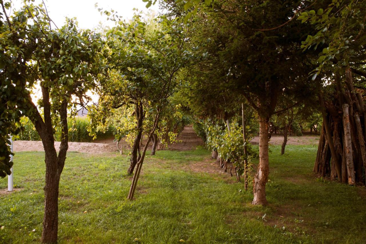 Domaine Des 4Roses -Spa Et Serenite Villa Furdenheim Екстериор снимка