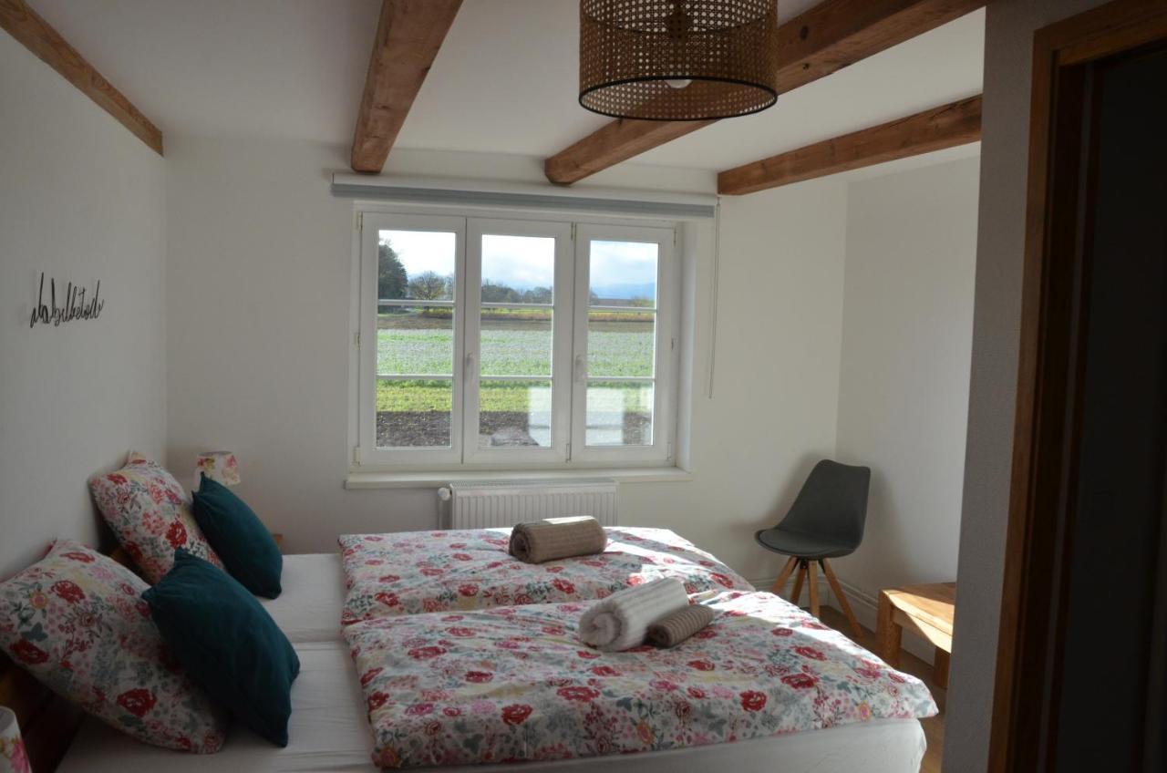 Domaine Des 4Roses -Spa Et Serenite Villa Furdenheim Екстериор снимка